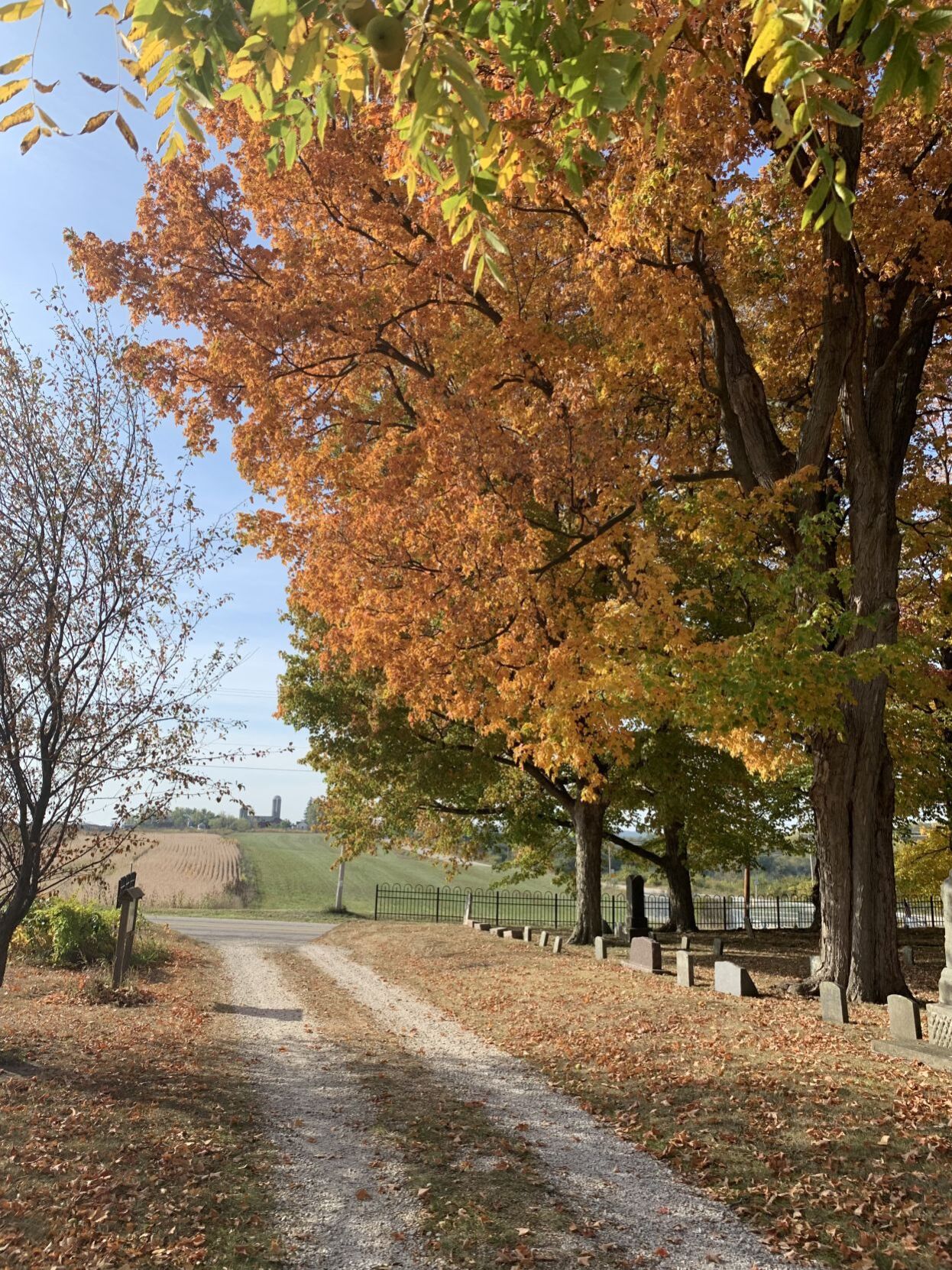 Springfield Union Cemetery